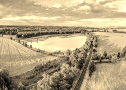 Szary + Sepia
