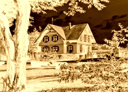 Sepia + Negatyw