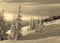 Sepia