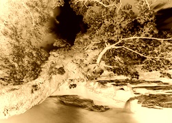 Sepia + Negatyw
