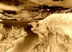 Sepia + Negatyw