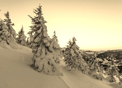 Szary + Sepia