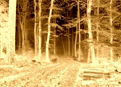 Sepia + Negatyw