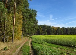 Oryginalny obrazek