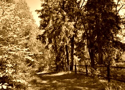 Sepia
