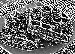 Skamielina
