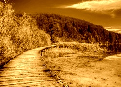 Sepia