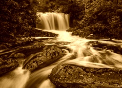Sepia