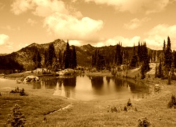 Sepia