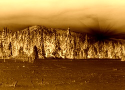 Sepia + Negatyw