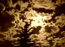 Sepia