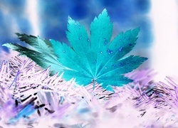 Negatyw