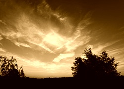 Sepia