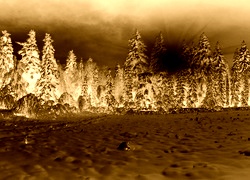 Sepia + Negatyw