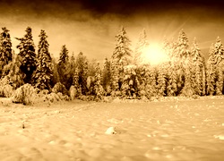 Sepia