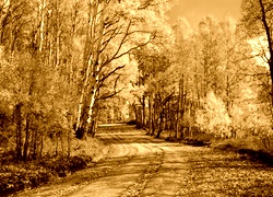 Sepia