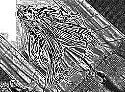 Skamielina