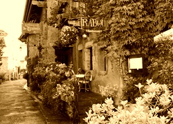 Sepia