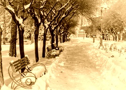Sepia