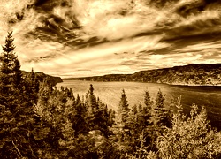 Sepia