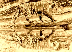 Sepia + Negatyw