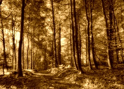 Sepia