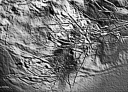 Skamielina