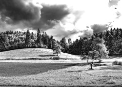 Szary + Sepia