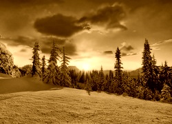 Sepia