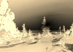 Sepia + Negatyw