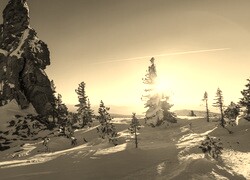 Szary + Sepia