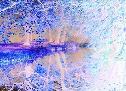 Negatyw