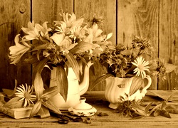 Sepia