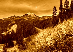 Sepia