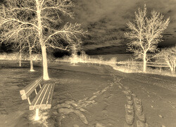 Sepia + Negatyw