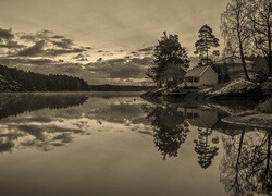 Szary + Sepia