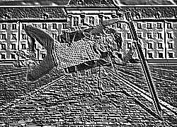 Skamielina