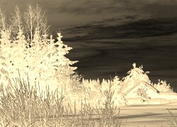 Sepia + Negatyw