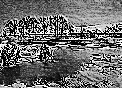 Skamielina