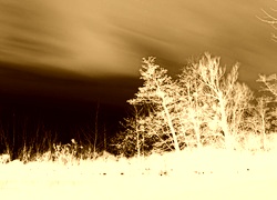 Sepia + Negatyw