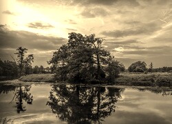 Szary + Sepia