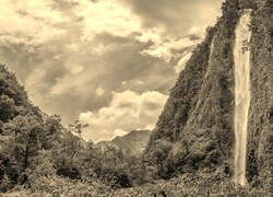 Szary + Sepia
