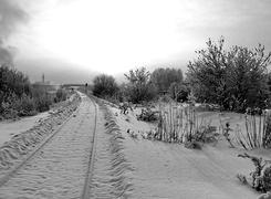 Szary + Sepia