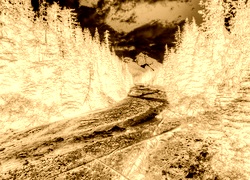 Sepia + Negatyw