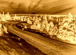 Sepia + Negatyw