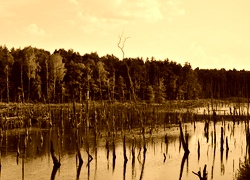 Sepia