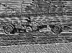 Skamielina
