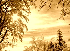 Sepia