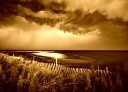 Sepia