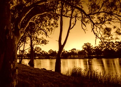 Sepia